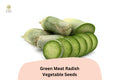 500+ Green Meat Radish Seeds – Heirloom Daikon Variety, Crisp & Mild Flavor
