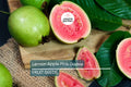 20 Ruby Supreme Guava Tree Seeds - Psidium guajava - Tropical Pink Fruit, Edible Rind, Container Friendly
