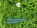 Petite Filet French Bean Seeds – Heirloom Non-GMO, Tender & Crisp Green Beans, Phaseolus vulgaris, 5g Pack