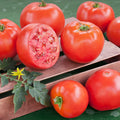 Goliath Tomato Live Plants 6–10" Large Red Heirloom Slicer Vegetable Starter Plants