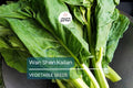 500mg Wan Shen Kailan Seeds - Heirloom Chinese Broccoli Brassica oleracea var. alboglabra for Stir-Fries, Soups & Salads