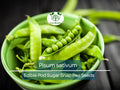 30 Seeds Edible Pod Sugar Snap Peas Pisum sativum Heirloom Gardening Seeds for Planting, Fresh Eating, Salad & Stir-Fry