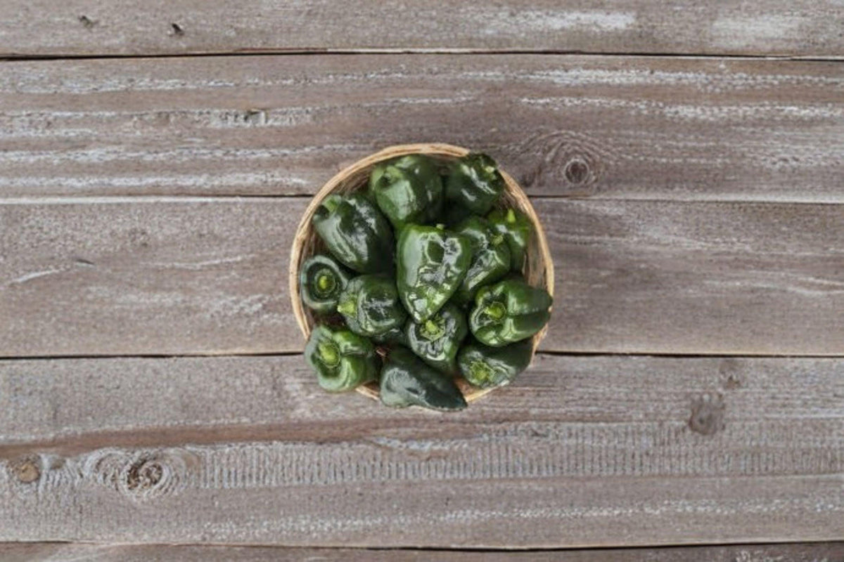 Ancho Poblano Hot Pepper Seeds – Capsicum annuum, Mild–Medium Heat, Mexican Chili, Stuffing & Drying, 25 Seeds