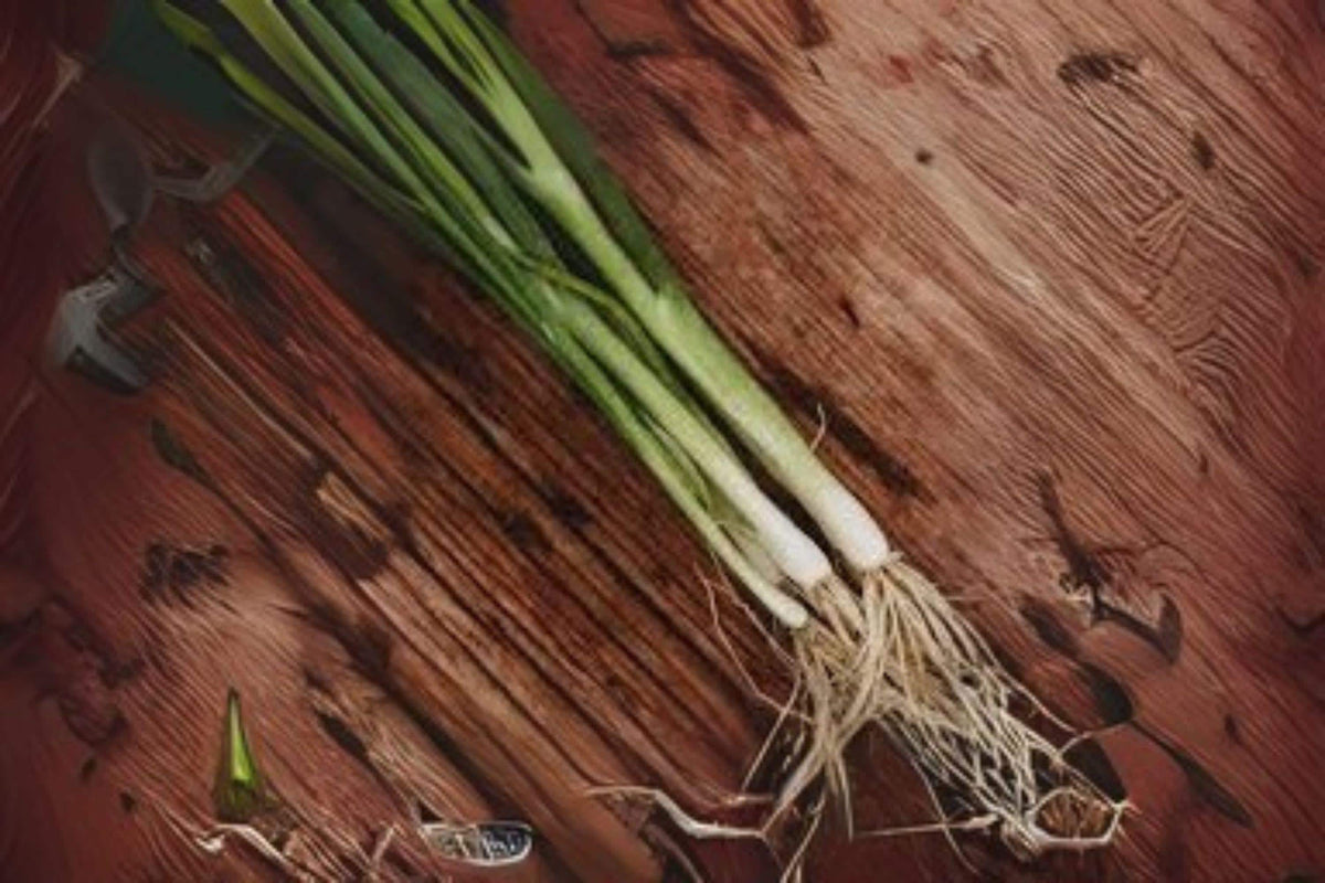 250 Seeds Tokyo Long Bunching Onion Non-Bulbing Green Onion Allium fistulosum for Salads, Soups, Stir-Fries