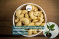 Live Cashew Nut Tree 12"-18" | Anacardium occidentale Tropical Fruit & Nut Tree for Gardens