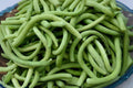 Chinese Snake Cucumber Seeds, Heirloom Variety for Salads & Stir-Fries, Cucumis sativus, Long Curved, Crisp, High Yielding