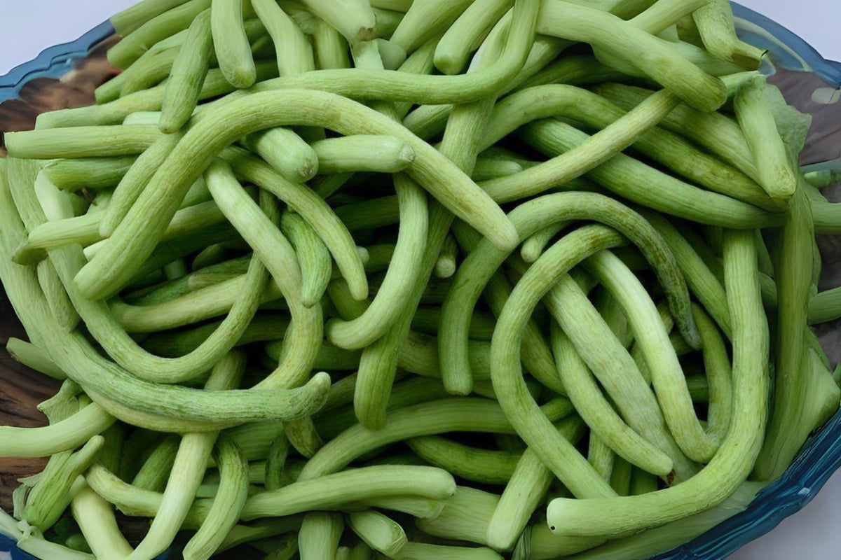 Chinese Snake Cucumber Seeds, Heirloom Variety for Salads & Stir-Fries, Cucumis sativus, Long Curved, Crisp, High Yielding