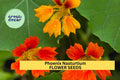 50+ Phoenix Nasturtium Seeds – Fringed, Fiery Blooms for Garden Planting, Edible Flowers for Beds, Borders & Containers – USA