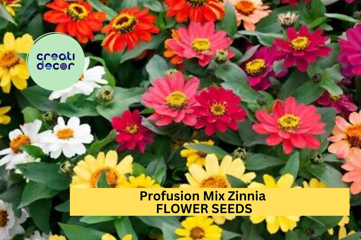 100+ Profusion Mix Zinnia Seeds – Bright Colorful Annuals for Garden Beds & Borders – Zinnia hybrida