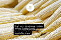 Popcorn Seeds 5g Japanese Hulless White Zea mays Dual-Purpose Gourmet Popcorn & Baby Corn