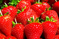 Berry Red Strawberry Seeds - Non-GMO Fragaria × ananassa for Home Garden, Pots & Raised Beds