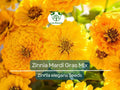 200 Zinnia Mardi Gras Mix Seeds – Vibrant, Butterfly & Pollinator Friendly Zinnia elegans, Non-GMO, Easy Annual Flowers