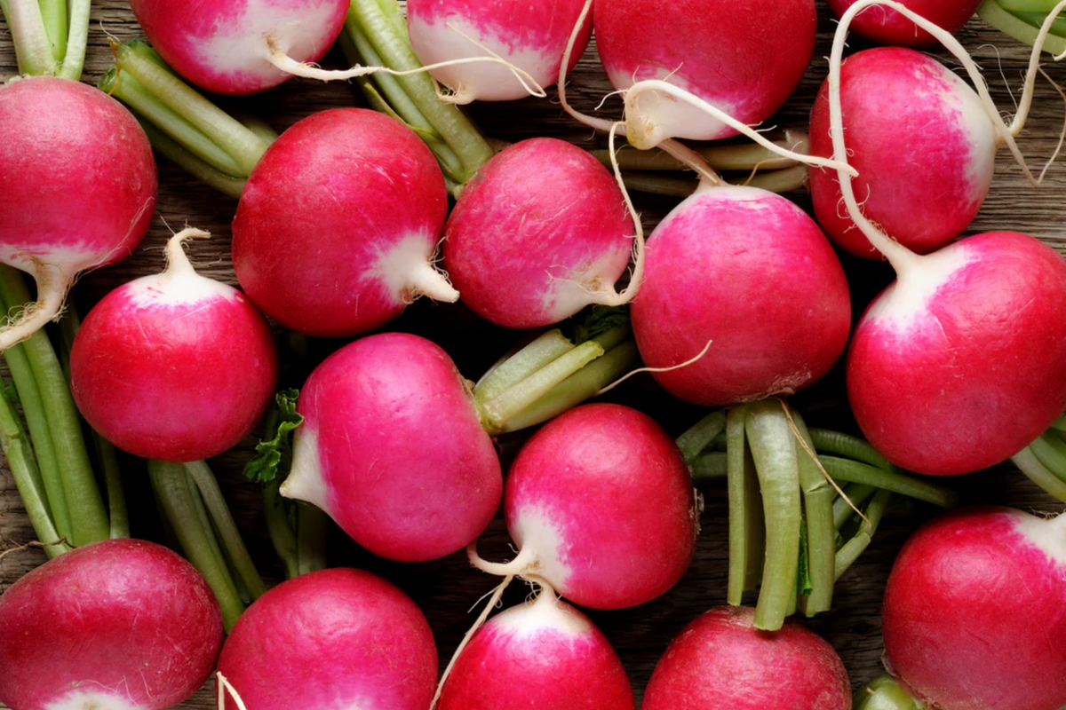 Champion Radish Seeds – Organic Non-GMO Fast-Growing Raphanus sativus Vegetable Seeds, Compact Root, Salad Garnish, 200 Pack