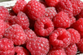 Berrylicious Raspberry Seeds - Non-GMO Fruit Seeds for Gardening, Rubus idaeus, 125 Pack