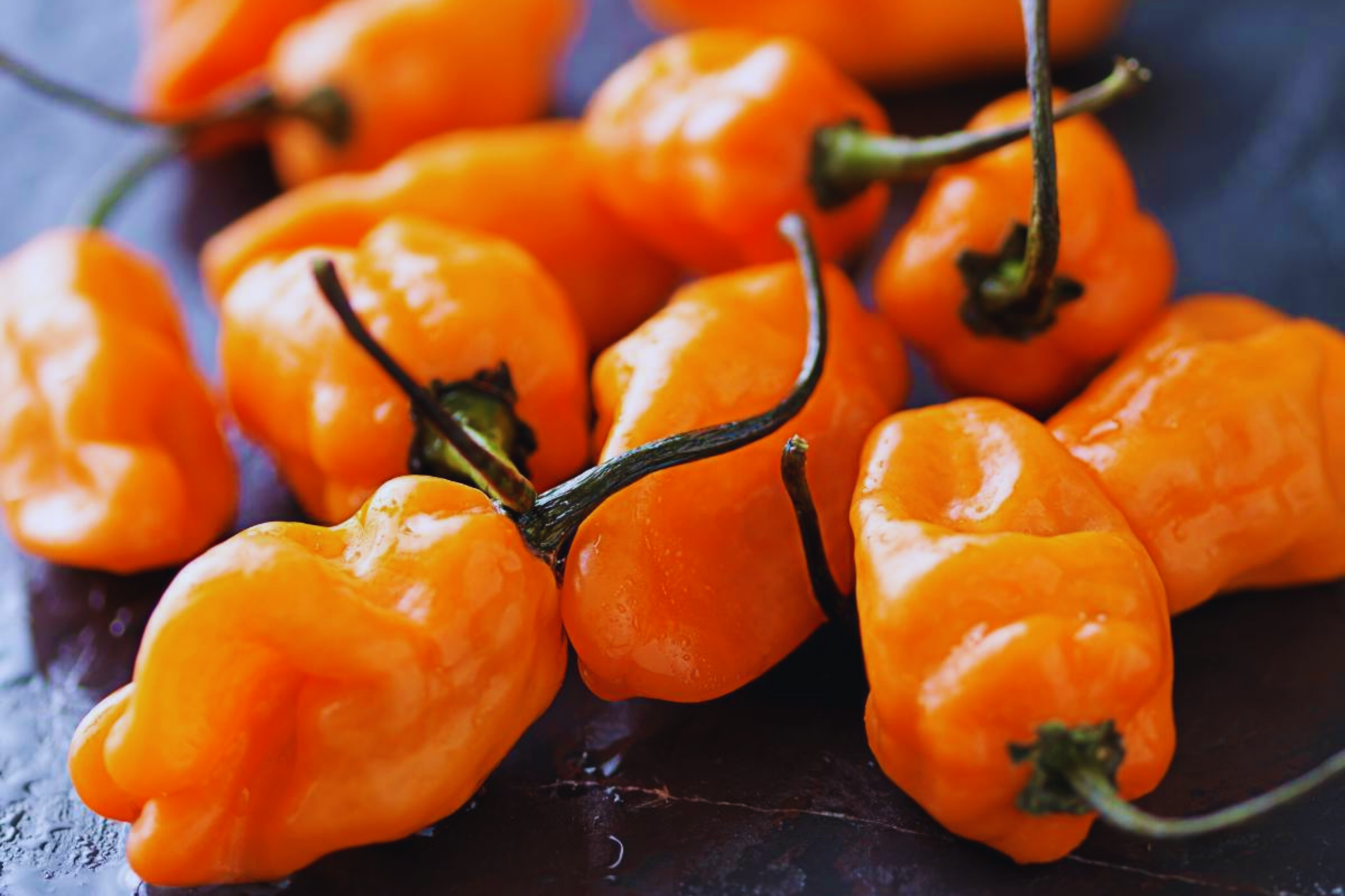 Orange Habanero Pepper Seeds - Non-GMO, Capsicum chinense, Bright Orange, Spicy Hot Pepper Seeds, Garden, Culinary, 25+ Pack