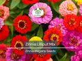 Zinnia Lilliput Mix Seeds – Heirloom, Non-GMO, Pollinator-Friendly, Compact Blooms, Easy to Grow, Garden Flowers, 200 Seeds