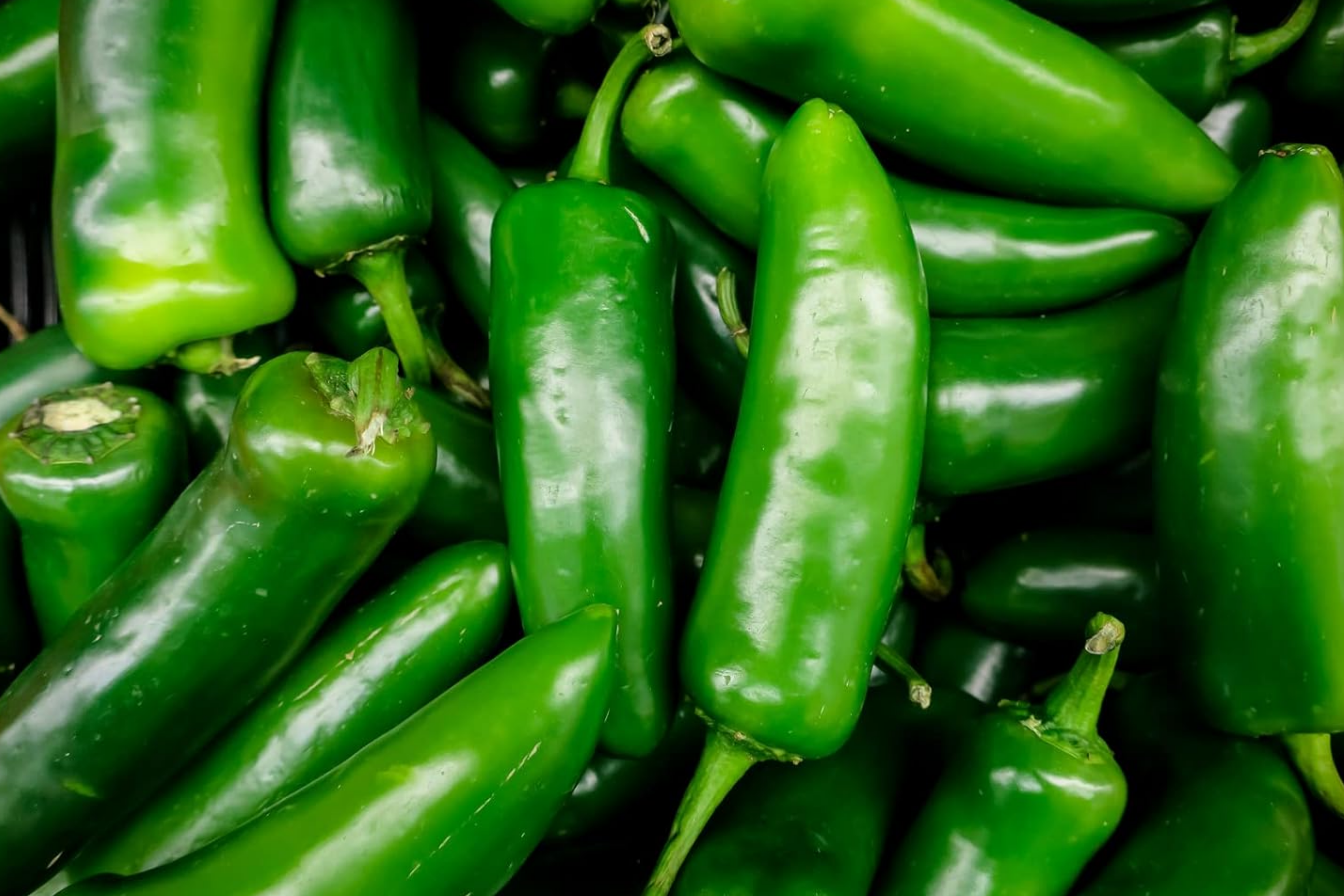Jalapeno Pepper Seeds – 100+ Non-GMO Heirloom Capsicum annuum Vegetable Garden Seeds from USA