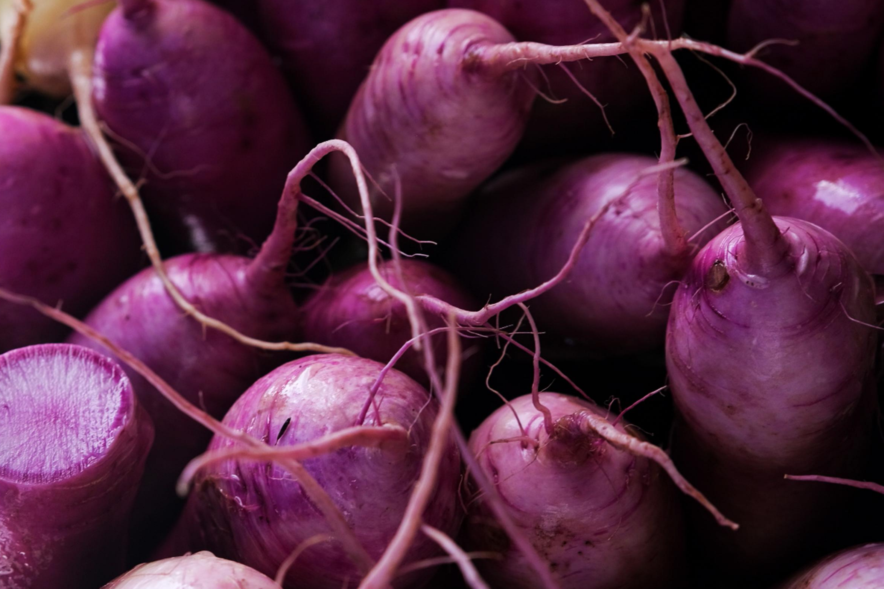 Purple Plum Radish Seeds - Non-GMO Heirloom Vegetable Seeds for Home Garden, 300+ Fresh Raphanus sativus Seeds