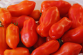 San Marzano Tomato Seeds - Heirloom Non-GMO Garden Seeds for Home Gardening - Solanum lycopersicum, Pack of 100+