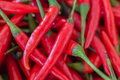 Cayenne Pepper Seeds - Non-GMO, 50+ Fresh Garden Seeds, Capsicum annuum, Spicy Red Peppers for Cooking & Gardening