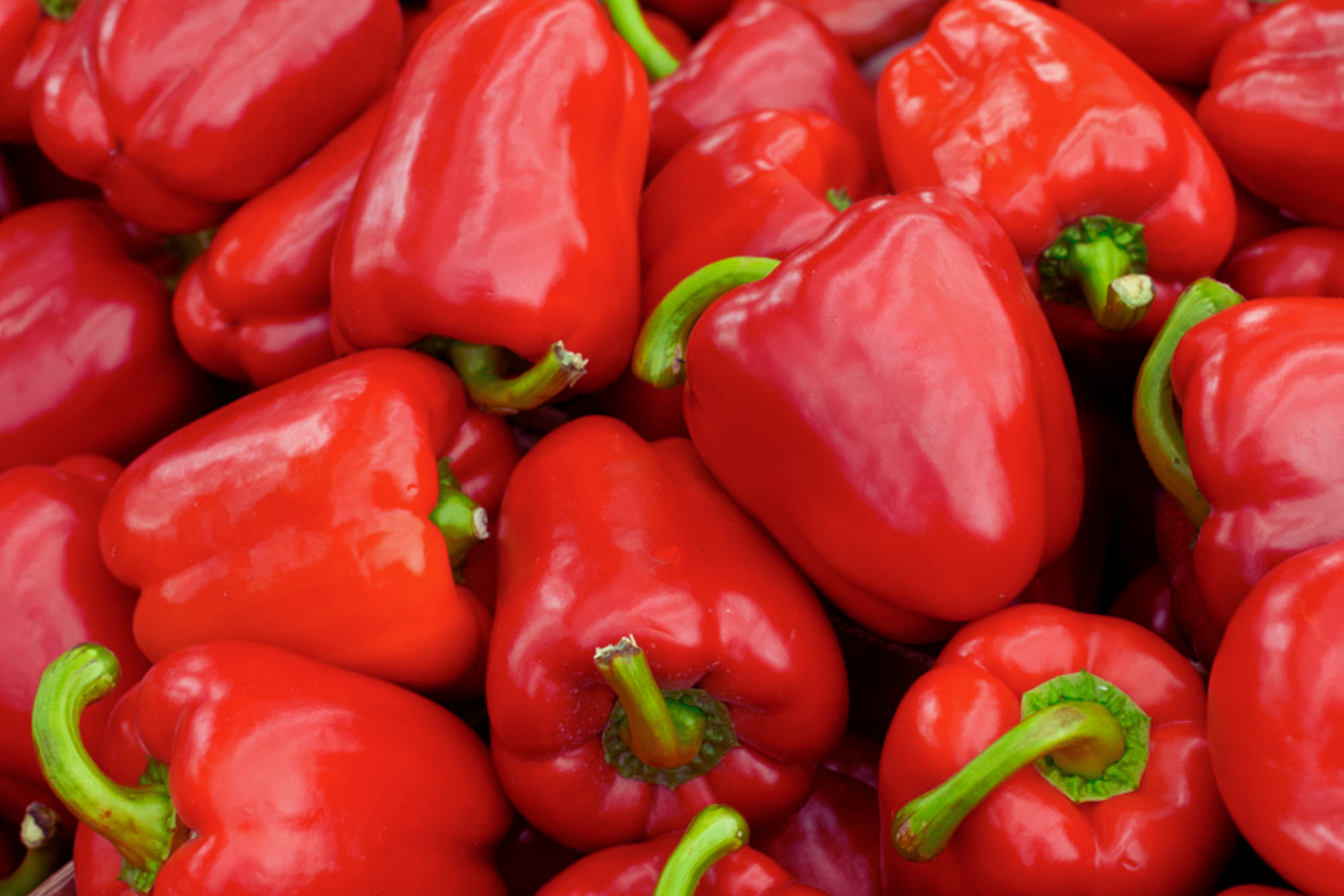 Sweet Red Bell Pepper Seeds – Non-GMO Heirloom, Capsicum annuum, Fresh Garden Seeds, Vegetable Seeds for Home Gardening