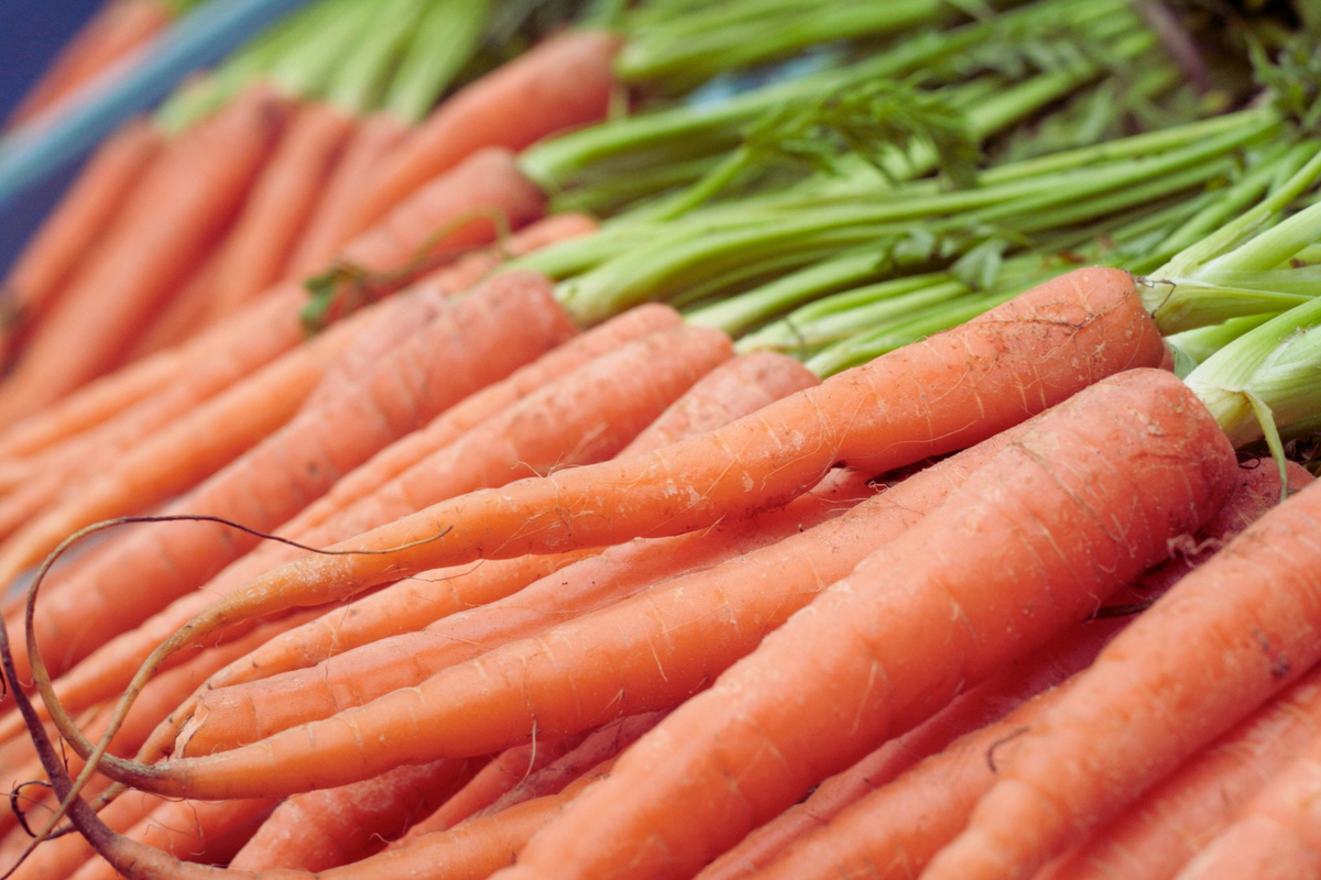 Tendersweet Carrot Seeds - Non-GMO Vegetable Seeds for Home Garden, Daucus carota, 800+ Seeds