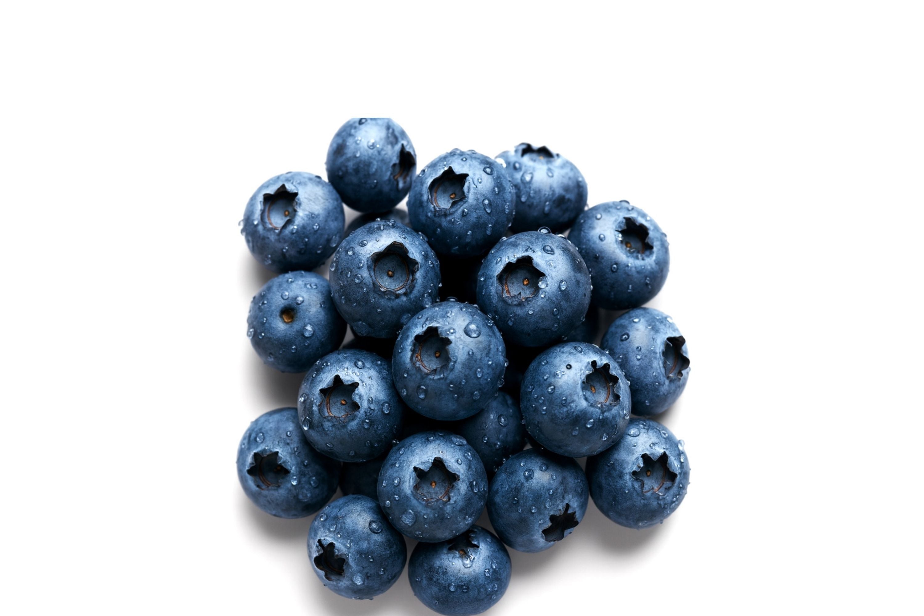 Azure Huckleberry Seeds - Non-GMO Vaccinium deliciosum Perennial Shrub Seeds for Berries & Wildlife, 125/300/500 Pack