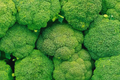 Broccoli Seeds – Non-GMO Heirloom Brassica oleracea, Fresh Garden Seeds for Home Gardening, Nutrient-Rich, Easy to Grow