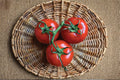 Heirloom Tomato Seeds Ace 55 | Low Acid, Slicing Red Fruits | Solanum lycopersicum | 30 Seeds