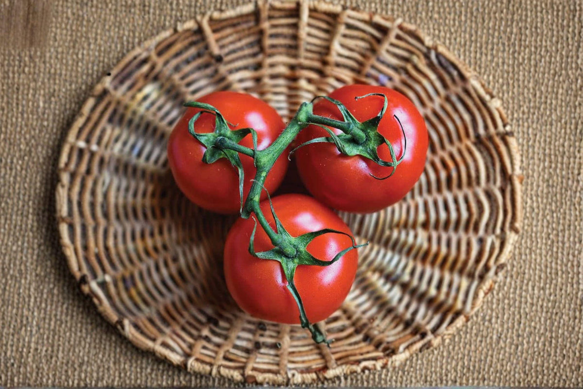 Heirloom Tomato Seeds Ace 55 | Low Acid, Slicing Red Fruits | Solanum lycopersicum | 30 Seeds