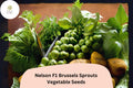 500+ Nelson F1 Brussels Sprouts Seeds – High-Yield Hybrid for Garden & Home Growing