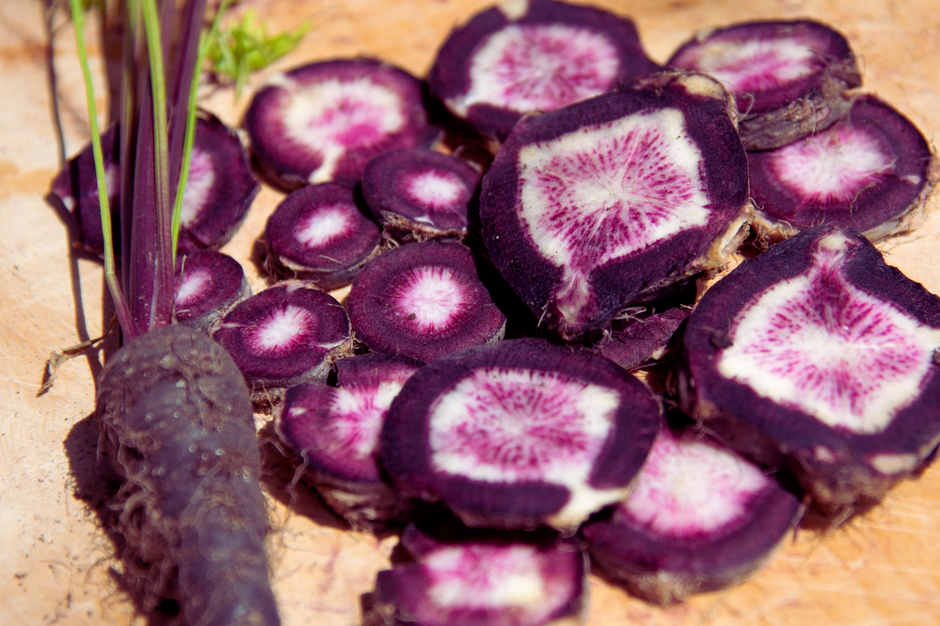 Black Nebula Carrot Seeds - Dark Purple Root Vegetable Seeds for Home Garden, Daucus carota