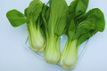 Canton Pak Choi Seeds - Long White Stem Taisai - Chinese Cabbage, Brassica rapa subsp. chinensis, Heirloom Vegetable Seeds