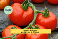 3pcs Tomato Rutgers Seeds – Heirloom, Juicy Red, Determinate, Solanum lycopersicum