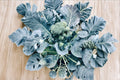 Broccoli Seeds | Green Sprouting Calabrese | Italian Heirloom | Side-Shoot, Continuous Harvest | Brassica oleracea