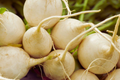 Hailstone Radish Seeds - White Globe, Non-GMO, Raphanus sativus, Vegetable Seeds for Salad, Container & Garden Planting