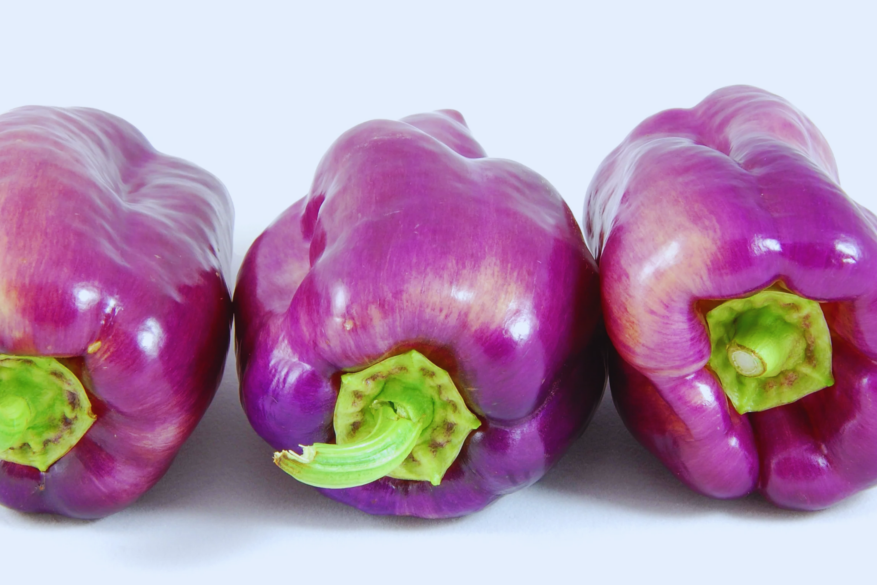 Rare Wild Permafrost Hot Purple Pepper Seeds | Compact Capsicum annuum | Non-GMO, Spicy, Fruity Flavor
