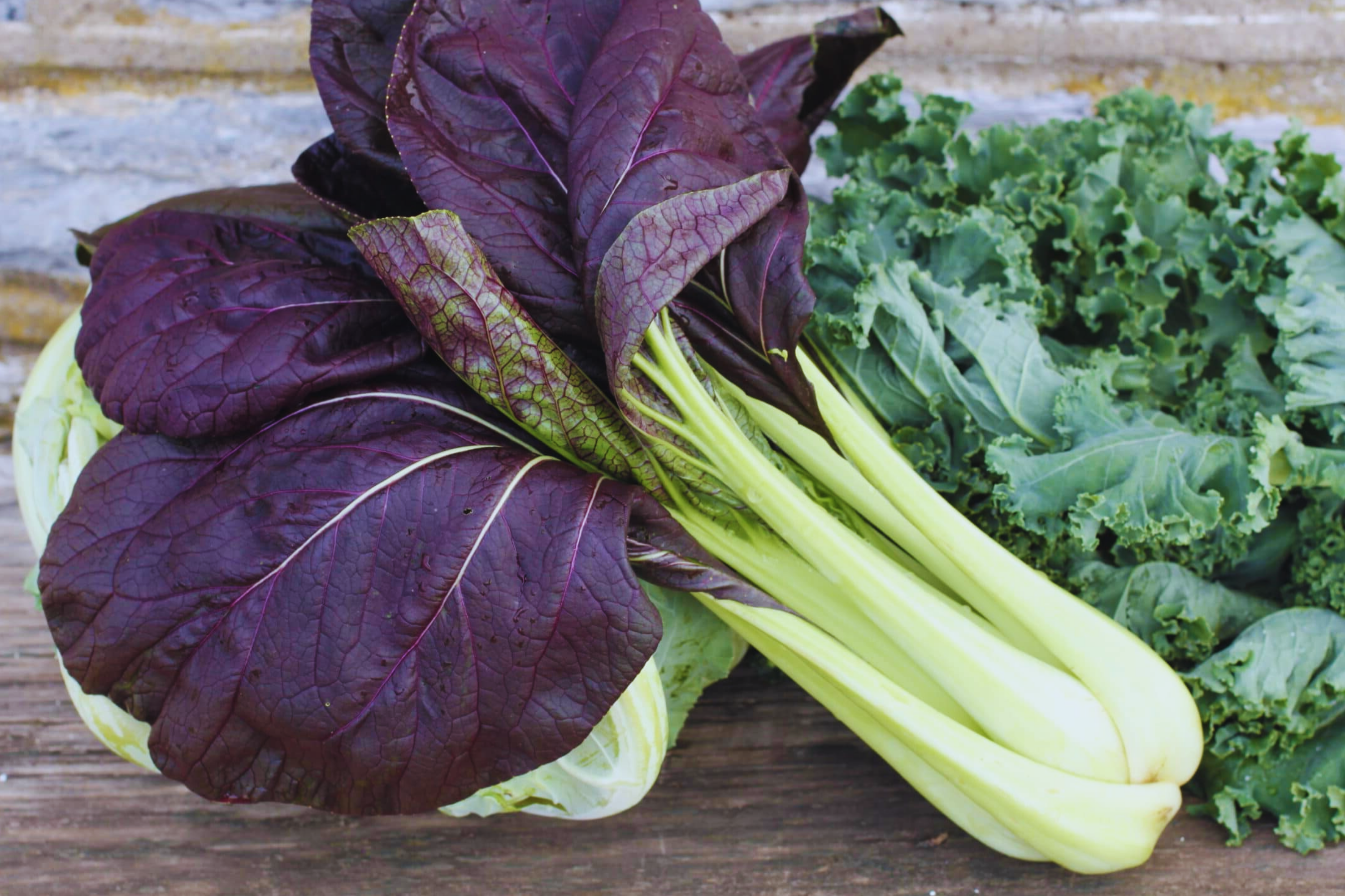 Purple Pak Choy Seeds - Non-GMO Brassica rapa var. chinensis for Salad, Stir-Fry, Container Gardening