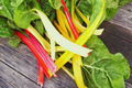 Rainbow Swiss Chard Seeds | Bright Lights Mix | Non-GMO Beta vulgaris subsp. vulgaris | Colorful Stems & Leaves