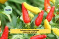 3pcs Tabasco Hot Pepper Seeds – Heirloom Chili for Hot Sauce, Pickling & Gardening – Capsicum frutescens