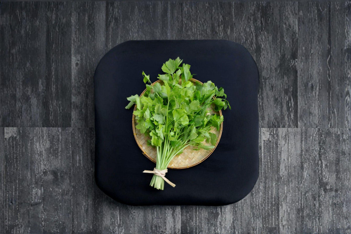 Chinese Celery Seeds – Kintsai Dark Green, Asian Celery, Strong Aroma, Crisp Stems & Leaves, Apium graveolens var. secalinum