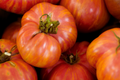 Big Rainbow Tomato Seeds, Non-GMO Rainbow Beefsteak Variety, Heirloom Vegetable Seeds, Solanum lycopersicum