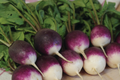 Purple Plum Radish Seeds - 200 Seeds, Raphanus sativus, Purple Skin, White Flesh, Fast-Growing, Cool Weather, Garden & Container Planting