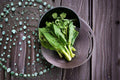 Wan Shen Kailan Chinese Broccoli Seeds – Open-Pollinated, Tender Stems, Asian Greens, Brassica oleracea var. alboglabra, 150 Seeds