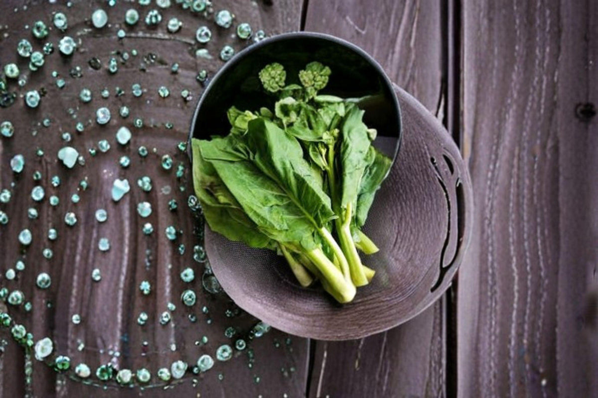 Wan Shen Kailan Chinese Broccoli Seeds – Open-Pollinated, Tender Stems, Asian Greens, Brassica oleracea var. alboglabra, 150 Seeds