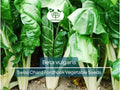 Swiss Chard Seeds Fordhook Beta vulgaris Heirloom Vegetable for Gardening, Nutrient-Rich Greens, Salad, Sauté, Soup