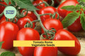 3pcs Roma Tomato Seeds – Meaty Paste Tomatoes for Sauces, Canning, and Home Gardening – Solanum lycopersicum