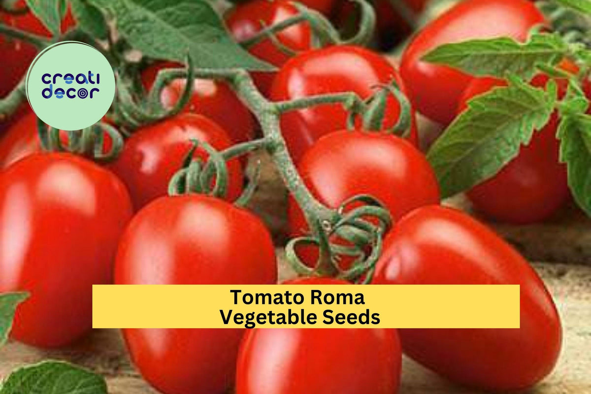 3pcs Roma Tomato Seeds – Meaty Paste Tomatoes for Sauces, Canning, and Home Gardening – Solanum lycopersicum