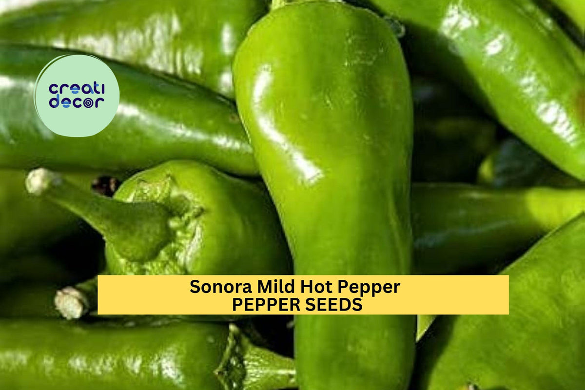 3pcs Sonora Mild Hot Pepper Seeds – Capsicum annuum, Green to Red, Early Maturing, for Roasting, Salsa & Garden Growing