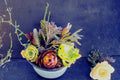 Assorted Succulents Collection - 15 Fresh Unrooted Cuttings, Drought-Tolerant, Decorative Plant Varieties